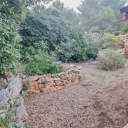 Maisonnette Chez L'Habitant La Ciotat Dış mekan fotoğraf