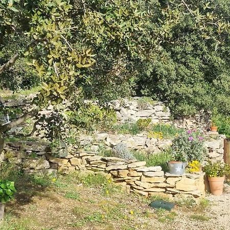 Maisonnette Chez L'Habitant La Ciotat Dış mekan fotoğraf