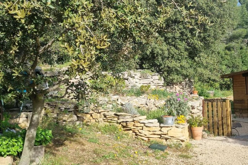 Maisonnette Chez L'Habitant La Ciotat Dış mekan fotoğraf
